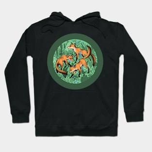 Fox Triad Hoodie